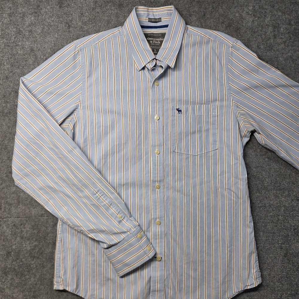 Abercrombie & Fitch Mens Large Muscle Fit Striped Button Down Shirt Blue Brown
